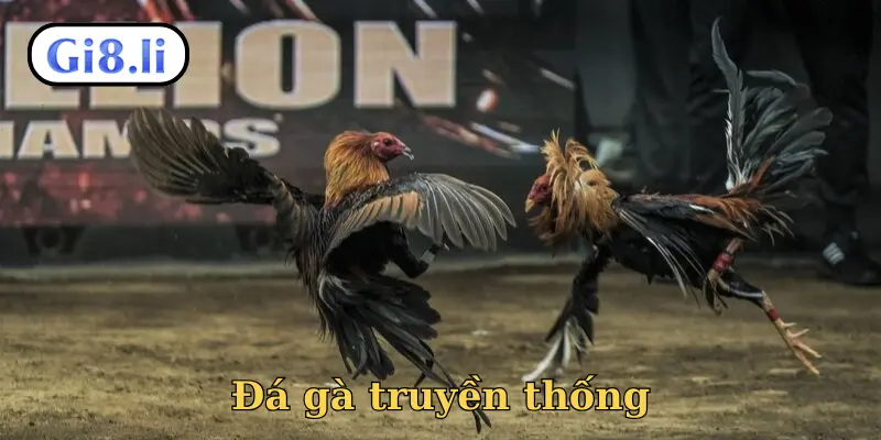 Đá gà truyền thống