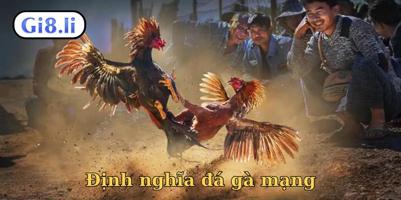 Định nghĩa đá gà mạng