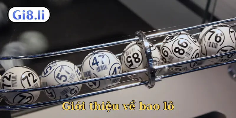 Giới thiệu về bao lô