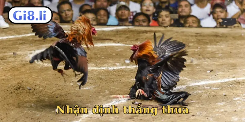 Nhận định thắng thua