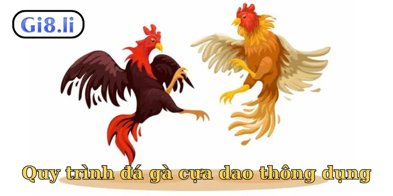 Quy trình đá gà cựa dao thông dụng