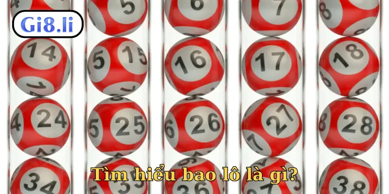 Tìm hiểu bao lô là gì?